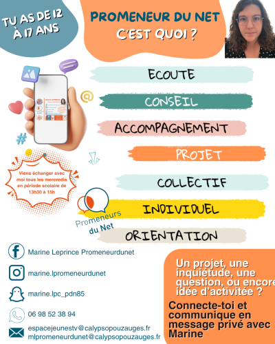 Affiche Promeneur du Net